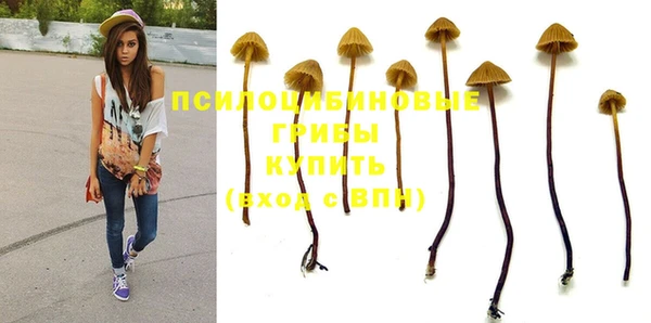 герыч Пересвет