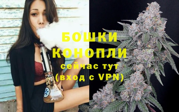 герыч Пересвет