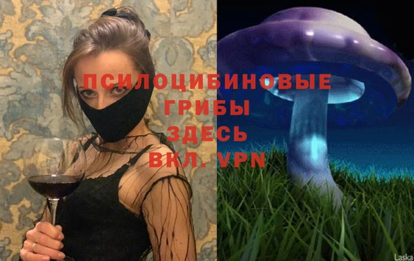 гидра Пестово