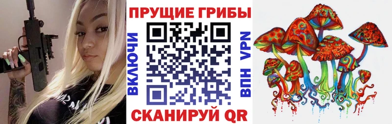 мега зеркало  Камышин  Галлюциногенные грибы Magic Shrooms 