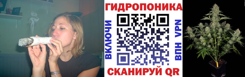 мега как зайти Камышин Конопля индика как найти